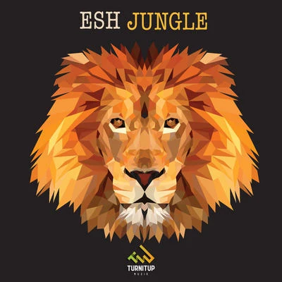 Jungle 专辑 House Divided/ESH/PEACE MAKER!