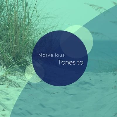 Marvellous Tones to Aid Sleep 专辑 Easy Sleep Music/Sleeping Music Experience/Ambiente