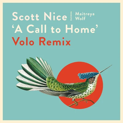 A Call to Home (Volo Remix) 專輯 The Grouch/Scott Nice/The Polish Ambassador