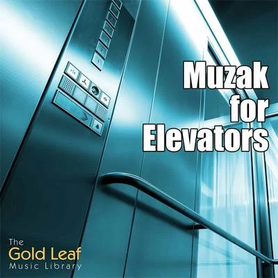 Muzak for Elevators 專輯 Chris Kibble