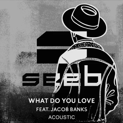 What Do You Love (Acoustic) 專輯 Seeb