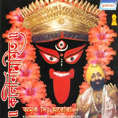 Kalinamamrita 专辑 Amrik Singh Arora, Chorus/Amrik Singh Arora