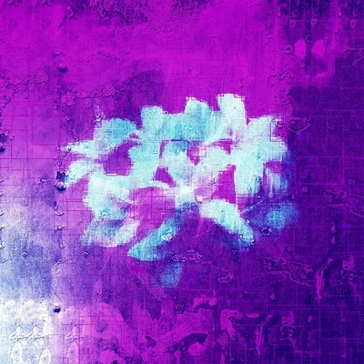 Purple Flowers 專輯 Kende/Anna Naklab