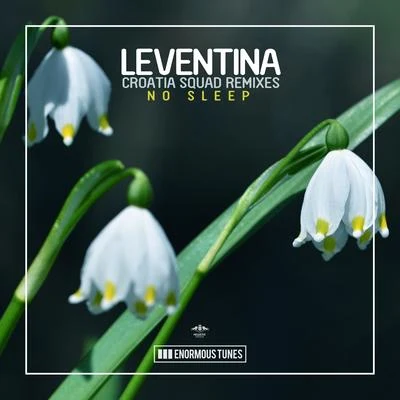 No Sleep (Croatia Squad Remixes) 专辑 Leventina