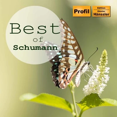 Best of Schumann 專輯 Staatskapelle Dresden/Rosl Schwaiger/Berlin Radio Symphony Orchestra/Rolando Villazon/Chamber Orchestra of Europe