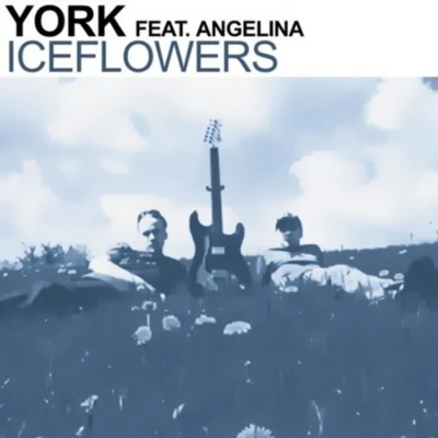 Iceflowers 专辑 York