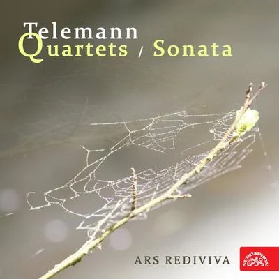 Telemann: Quartets, Sonata 专辑 Ars rediviva