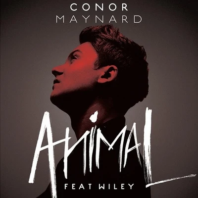 Conor Maynard Animal