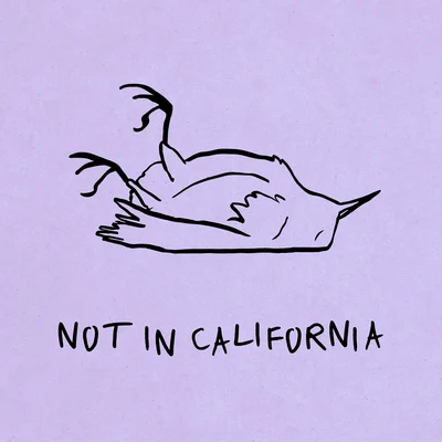 Not In California 专辑 K.Flay