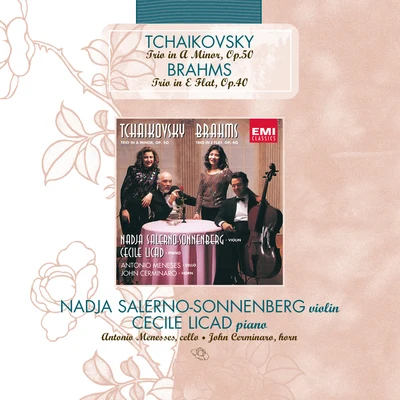 Piano Trio (Tchaikovsky)Horn Trio (Brahms) 專輯 Nadja Salerno-Sonnenberg/Orchestra of St. Lukes