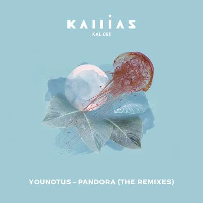 Pandora (The Remixes) 專輯 YouNotUs