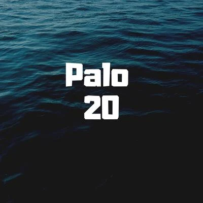 Palo 20 专辑 Alex Sensation/NaCho/J. Balvin/Anitta/Juan Magan