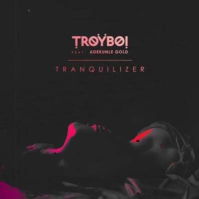 Tranquilizer (feat. Adekunle Gold) 專輯 TroyBoi/Destructo