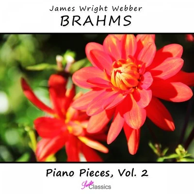 Brahms: Piano Pieces, Vol. 2 专辑 Johannes Brahms/James Wright Webber