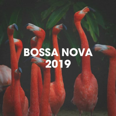 Bossa Nova 2019 專輯 Lounge Music Café