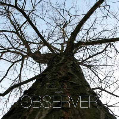 The Observer 专辑 Joel Mull