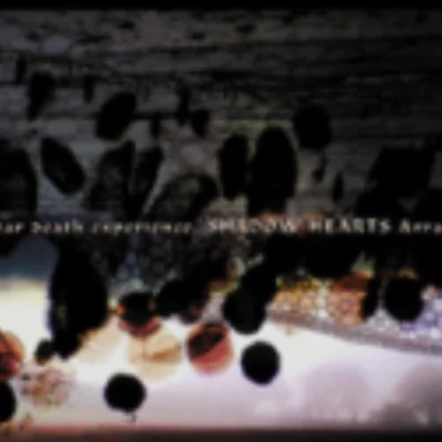 光田康典 near death experience, SHADOW HEARTS Arrangetracks