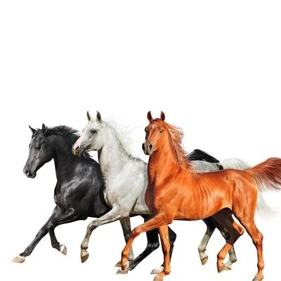 Old Town Road (Diplo Remix) 专辑 Billy Ray Cyrus