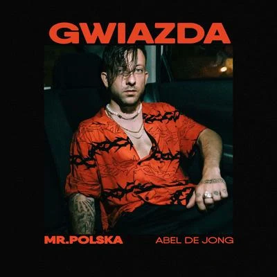 Gwiazda 專輯 Mr. Polska/Young Igi