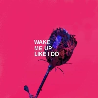 Wake Me Up Like I Do (Arkis Mashup) 专辑 Arkis