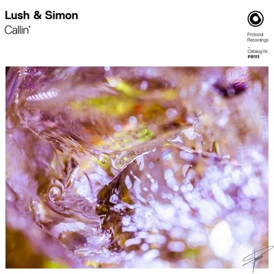 cal林 專輯 Lush & Simon