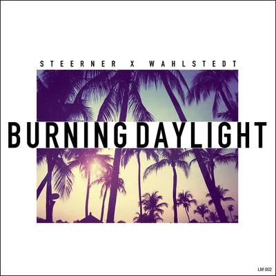 Burning Daylight 專輯 Steerner/Jakob Liedholm