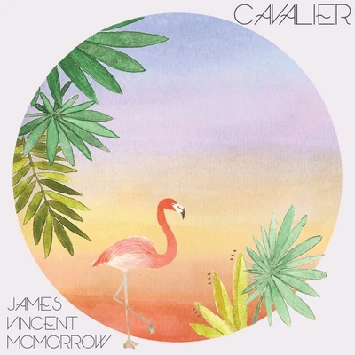 Cavalier 專輯 James Vincent McMorrow