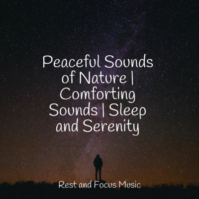 Peaceful Sounds of Nature | Comforting Sounds | Sleep and Serenity 專輯 Academia de Música con Sonidos de la Naturaleza