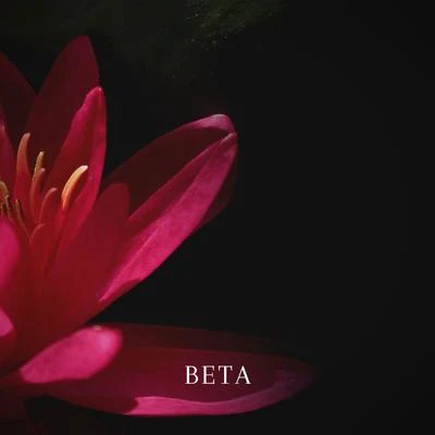 Beta 专辑 Deep Horizon Waves/Binaural Beats Brain Waves Isochronic Tones Brain Wave Entertainment/Sleep Waves