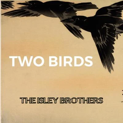 Two Birds 专辑 The Isley Brothers/The Ones/Diana Ross/Marvin Gaye/Billy Eckstine