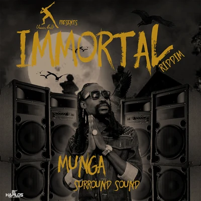 Surround Sound 專輯 Munga