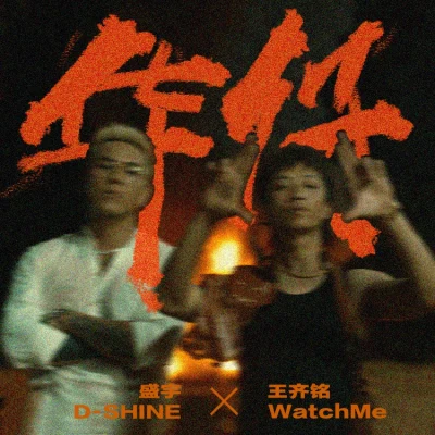 华仔 专辑 大傻DamnShine