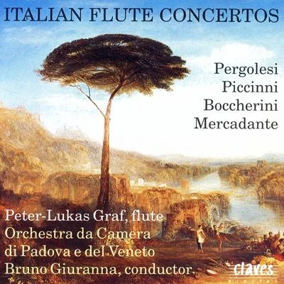 Italian Flute Concertos 專輯 Peter-Lukas Graf