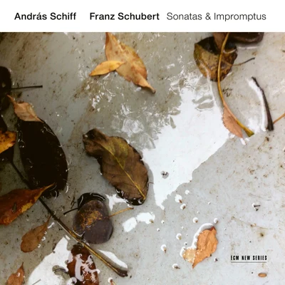 Franz Schubert: Sonatas & Impromptus 专辑 András Schiff