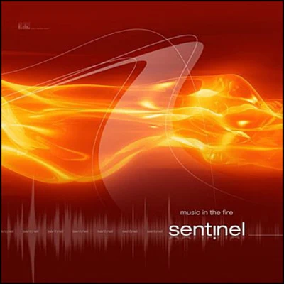 Music In The Fire 專輯 Sentinel/Vicky Merlino/Spirit Architect/Basso/Pleiadians