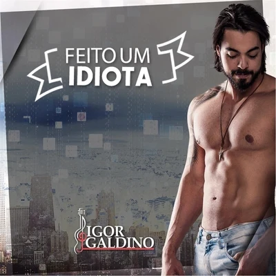 Feito um Idiota 专辑 Igor Galdino/Naiara Azevedo