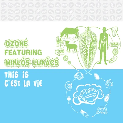 This Is C&#x27;est La Vie 专辑 Ozone