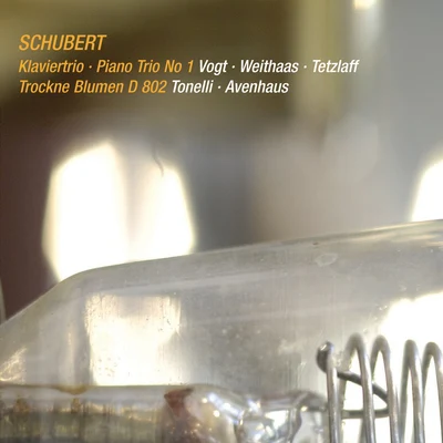 Schubert: Piano Trio No. 1, D. 898 & Trockne Blumen, D. 802 (Live) 专辑 Lars Vogt