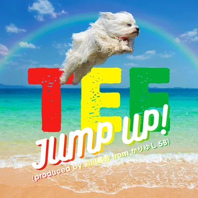 Jump Up! 專輯 TEE