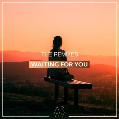 Anthony MeyerFirazDigitalTek Waiting For You - The Remixes