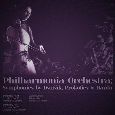 Philharmonia Orchestra: Symphonies by Dvořák, Prokofiev & Haydn 專輯 Beethoven Academy Orchestra/Antonín Dvořák/Antonín Dvoák/Beethoven Akademie Orchester/Pawel Przytocki