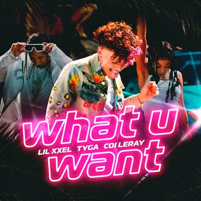 What U Want 專輯 Tyga/Kygo/Zara Larsson