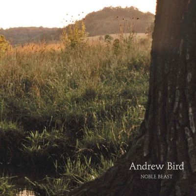 Noble Beast 专辑 Andrew Bird