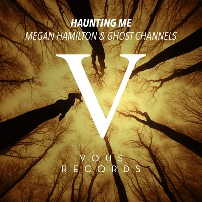 Haunting Me 專輯 Wes Writer/Megan Hamilton/Defunk/Megan Hamilton & Wes Writer