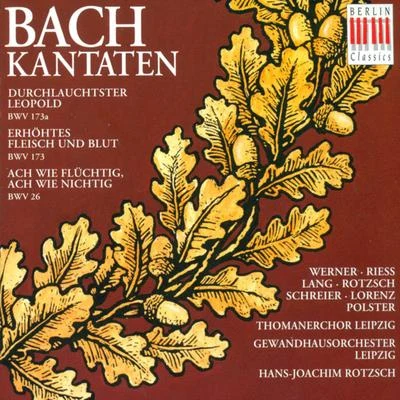 Johann Sebastian Bach: Cantatas - BWV 26, 173, 173a (Rotzsch) 專輯 Leipzig Thomaner Choir