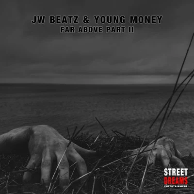 Far Above, Pt. II 專輯 Young Money