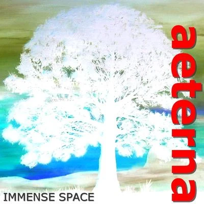 Immense space 專輯 Alaya/Aeterna/Luca Attanasio