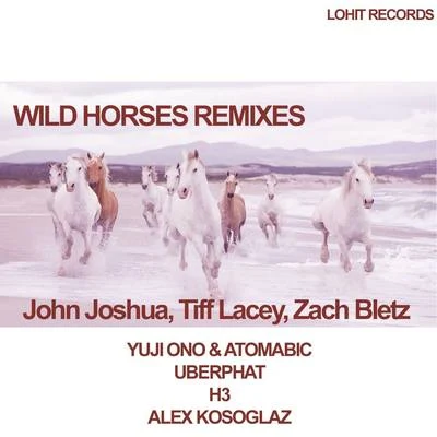 Wild Horses Remixes 專輯 Tiff Lacey/Space RockerZ/Benny Benew/Adam Sheridan/Moonbeam