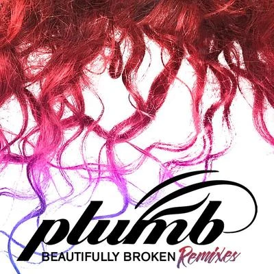 Beautifully Broken (Remixes) 專輯 Nightlapse/BigNoise/Plumb/Sneijder/Rank 1