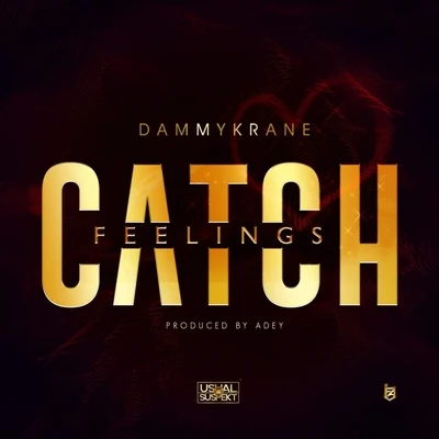 Catch Feelings 專輯 Small Doctor/Dammy Krane